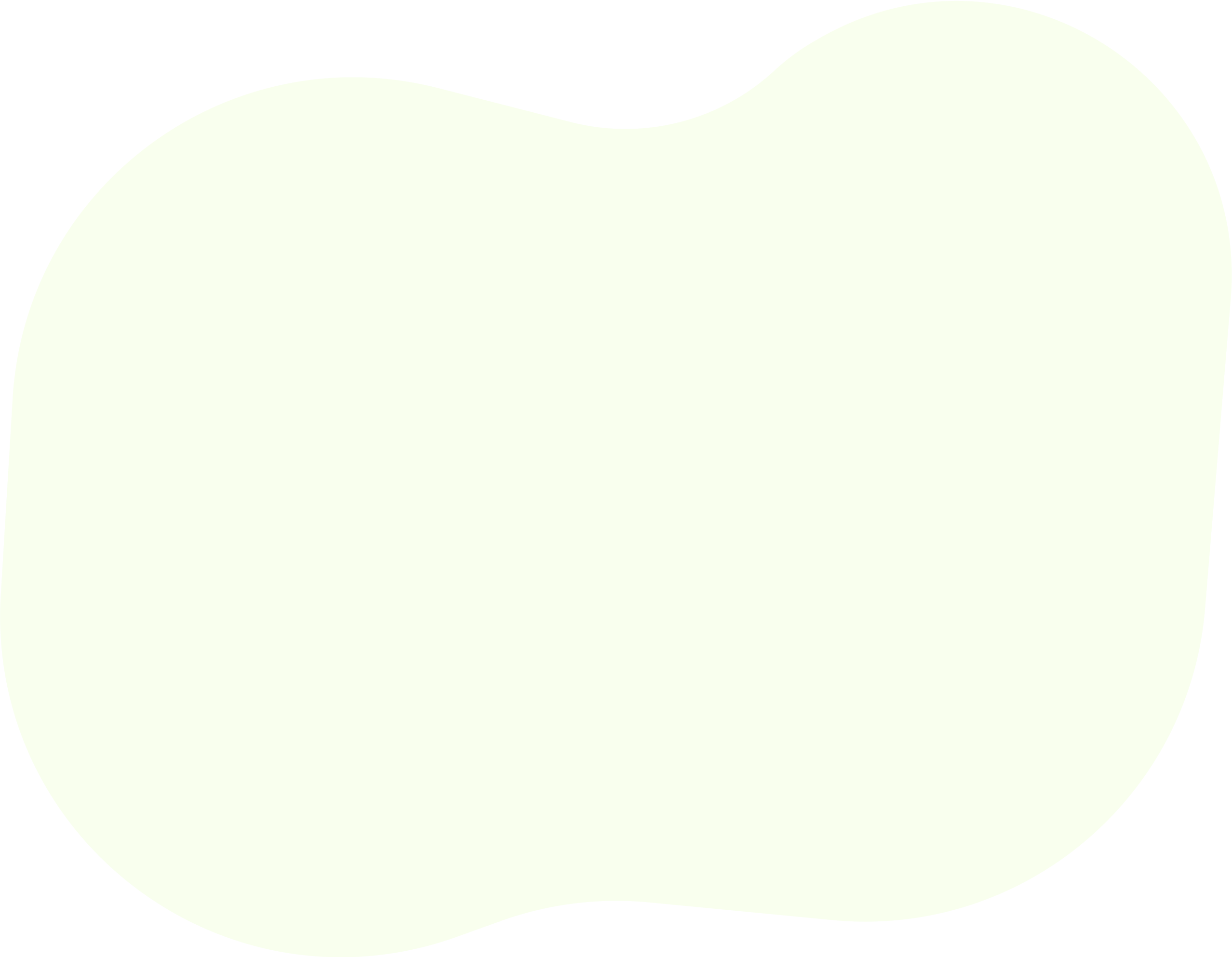 Beautysalon Software Looppiness